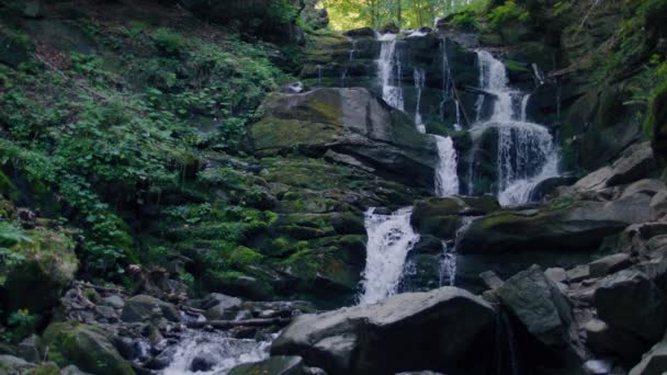 Wasserfall Wäscht Bemooste Steine Spritzer Fallen Auf Pflanzen Gefallene Blätter — Stockvideo