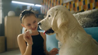 Genç bir kız köpeğini besliyor, evde evcil hayvanıyla birlikte yumuşak halıda oturuyor ve konuşuyor, yavru köpekle oynuyor, gülümsüyor ve gülüyor. Golden retriever.