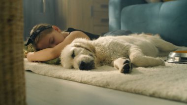 Kucaklayan köpek, gündüz vakti halıda uyuyan, rüya izleyen, boş zamanlarını evde birlikte geçiren, rahatlayan ve güç toplayan bir kız. Golden retriever.