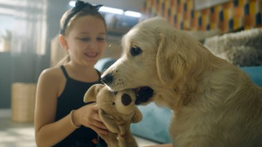 Genç kız köpekle oyuncak köpek oynuyor, gülümsüyor ve gülüyor, yumuşak halıda birlikte zıplıyor, evde evcil hayvanlarla vakit geçiriyor. Golden retriever.