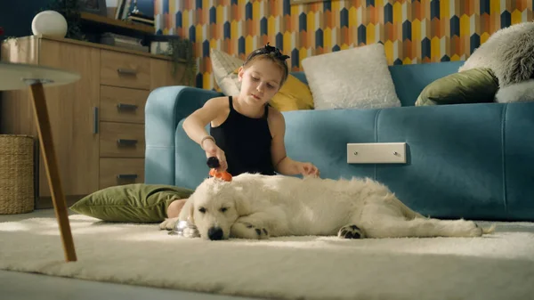 Menina Criando Penteado Para Cão Penteando Molhando Cachos Sentado Tapete — Fotografia de Stock