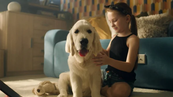 Een Jong Meisje Dat Met Een Hond Speelt Glimlacht Lacht — Stockfoto