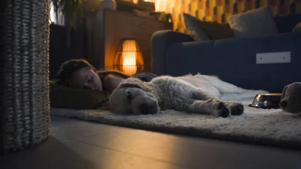 Menina Deitada Tapete Suave Com Cão Dormindo Juntos Sentindo Relaxado — Fotografia de Stock
