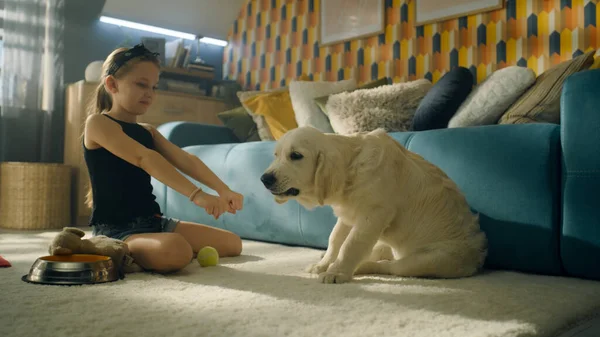개에게 먹이를 가벼운 카펫에 집에서 이야기하고 강아지와 리트리버 — 스톡 사진