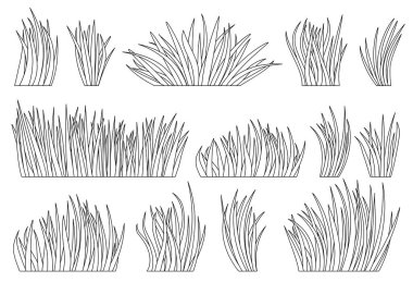 Çimenler doğal organik çim çizgisi seti. Boyama kitabı sayfası, yaz otlağı. Eko bitkisi taze, ayrı çalılar. Farklı şekillerde doğrusal bitkisel çim. Yeşillik çizgi simgesi bırakır. Yaprak manzarası sınırı