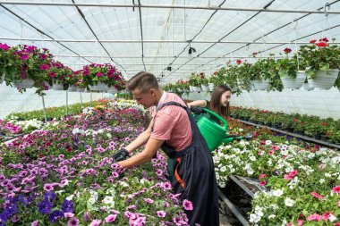 Endüstriyel serada çiçeklerle çalışan genç ve mutlu bir çift. Yaşam biçimi