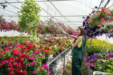 Profesyonel kadın bahçıvan her gün bir serada sulama ve sahte bakım çiçekleri.. 