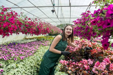 Tulumlu kadın çiçekçi bir seradaki çiçeklerle ilgileniyor. İlkbahar