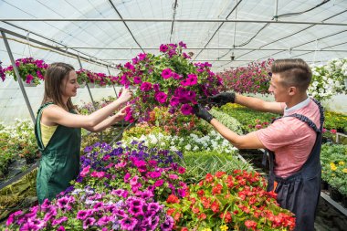 Serada çiçeklerle ve bitkilerle çalışan genç çiftler. Aile işi