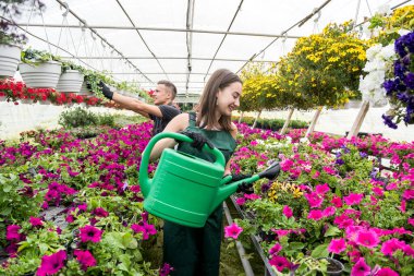 Her gün çiçeklerle ilgilenen genç çift onları endüstriyel bir serada satılığa çıkarıyorlar.