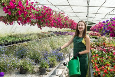 Güzel, parlak serada çiçeklerle çalışan güzel bir kadın çocuk odası. İlkbahar