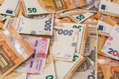 Finans geçmişi olarak hrivna ve euro faturaları. para birimi değişimi