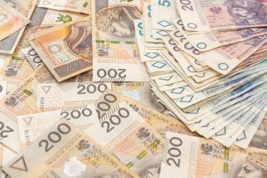 Farklı Polonya paraları yığını. Kapat. finansal kavram