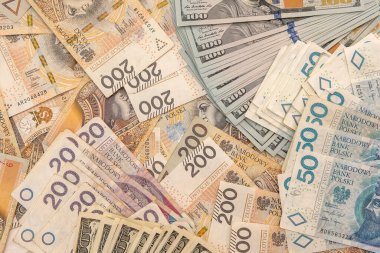 İş finansmanı kavramı olarak dolar ve Polonya zloti PLN