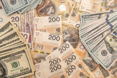 Bir yığın dolarımız ve zloti banknotlarımızı arka plan olarak parlatacağız. yatırım