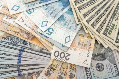 İş finansmanı kavramı olarak dolar ve Polonya zloti PLN