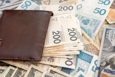 Polonyalı zloti banknotlu Amerikan doları cüzdan işi geçmişi, döviz kuru
