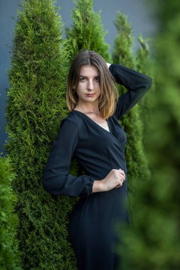 Beyaz sedir (Thuja occidentalis) yakınlarında poz veren siyah elbiseli çekici bir kadın. 