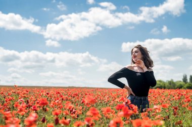 Esmer, mutlu bayan gelincik tarlasında özgürlüğün tadını çıkarıyor. yaz zamanı