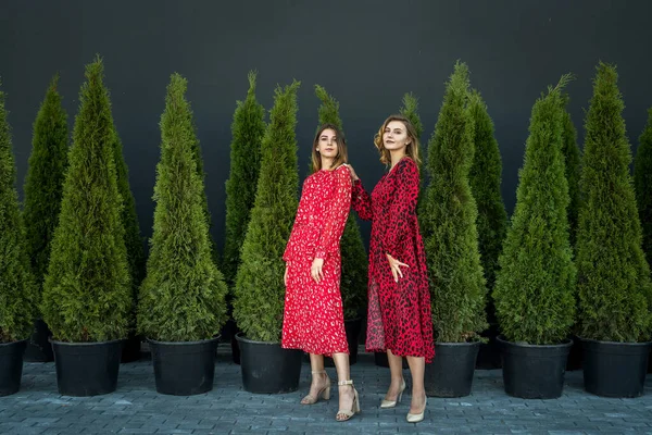 Två Unga Attraktiv Kvinna Mode Röda Klänningar Poserar Utomhus Livsstil — Stockfoto