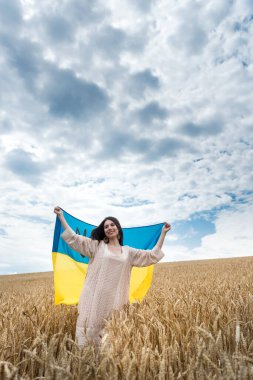 Ukrayna bayrağı taşıyan bir kız ve olgun buğday tarlasında yürüyor. Ukrayna 'da barış. Yaşam tarzının tadını çıkar