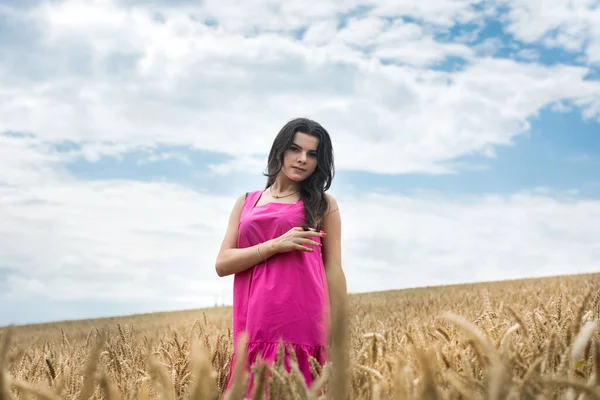 Woman Dress Stands Wheat Field Beautiful Nature Freedom Stock Image