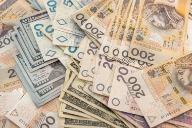 İş finansmanı kavramı olarak dolar ve Polonya zloti PLN