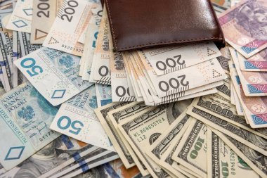 Polonyalı zloti banknotlu Amerikan doları cüzdan işi geçmişi, döviz kuru