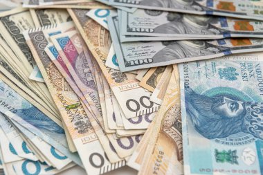 İş finansmanı kavramı olarak dolar ve Polonya zloti PLN