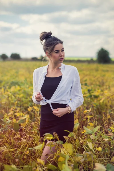 Incroyablement Belle Jeune Femme Posant Dans Champ Rural Été Style — Photo