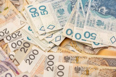 Farklı Polonya paraları yığını. Kapat. finansal kavram