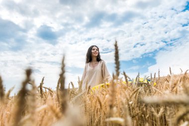 Ukrayna bayrağı taşıyan güzel bir kız buğday tarlasında boş vakit geçiriyor. Güneşli sıcak günün tadını çıkar.