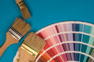 Tasarım için farklı renk ve tonlarda palet üzerine boya fırçaları