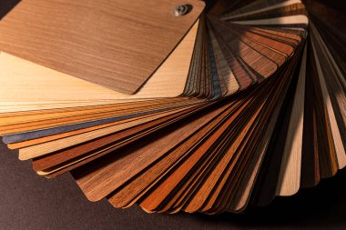 Modern dairelerin tasarımı için renkli ahşap prim örnekleyici