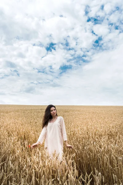 Modaya uygun giyinmiş güzel bir model buğday tarlasında yürüyor. Yaşam tarzının tadını çıkar