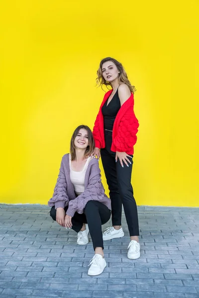 Moda Duas Jovens Mulheres Europeias Posando Blusas Malha Isoladas Fundo — Fotografia de Stock