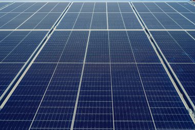 Yeni güneş panelleri çimlerle kaplı olarak yerde duruyor. Yeşil elektrik kavramı