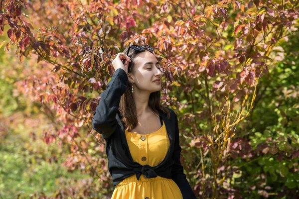 Retrato Menina Moda Bonita Perto Arbusto Outono Desfrute Natureza — Fotografia de Stock