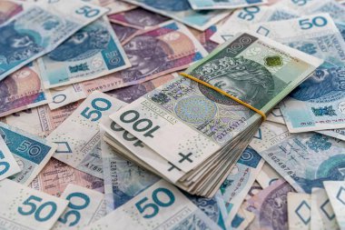 Finansal altyapı olarak bir yığın para zloti. para birimi 