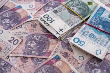 Finans arka planı olarak büyük Polonya zloti banknotlarının düzeni, farklı mezhepler