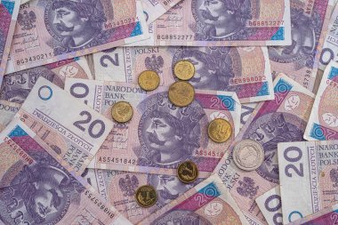 Finansal altyapı olarak bir yığın para zloti. para birimi 