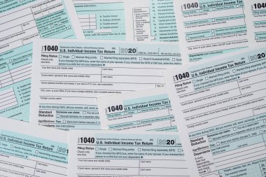 İş geçmişi olarak 1040 Amerikan vergi formu. hükümet