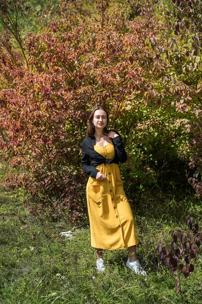 Renkli bir sonbahar ormanında güzel bir genç kadının portresi, romantik bir an.