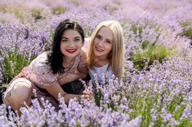 two girlfriends have a good time on a lavender field summer time