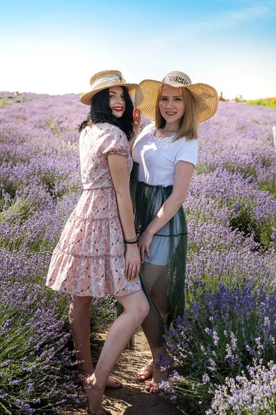 two girlfriends have a good time on a lavender field summer time