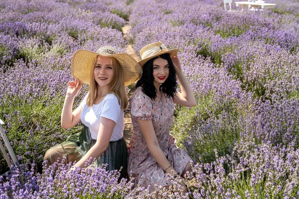 Two Girlfriends Have Good Time Lavender Field Summer Time — Stock fotografie