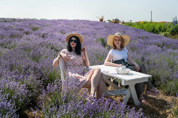 two girlfriends have a good time on a lavender field summer time