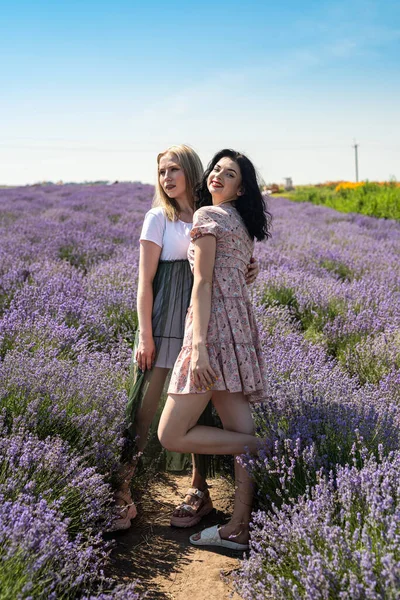 Two Girlfriends Have Good Time Lavender Field Summer Time —  Fotos de Stock
