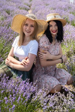 two girlfriends have a good time on a lavender field summer time