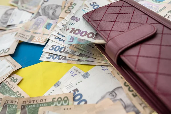 Purse Wallet Hryvnia Background Ukrainian Flag Investment — стокове фото